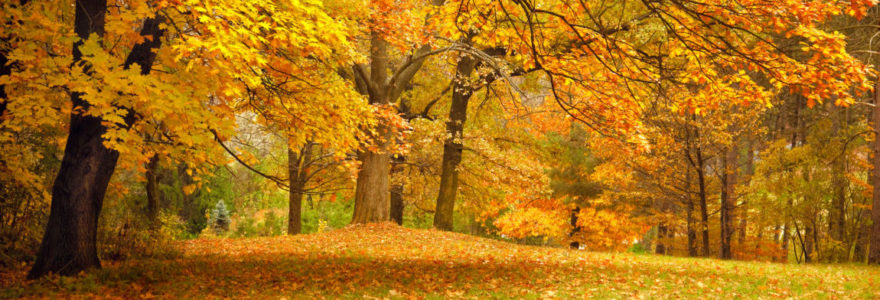 Far Hills Certified Financial Planner | Zynergy Retirement Planning