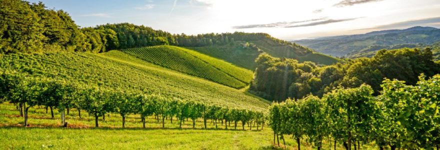 Far Hills Retirement Planning | Zynergy Retirement Planning