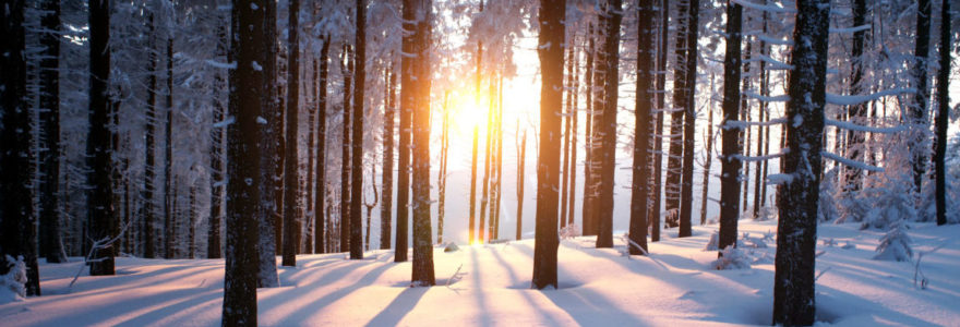 Pennington Fee Only Financial Planner | Zynergy Retirement Planning