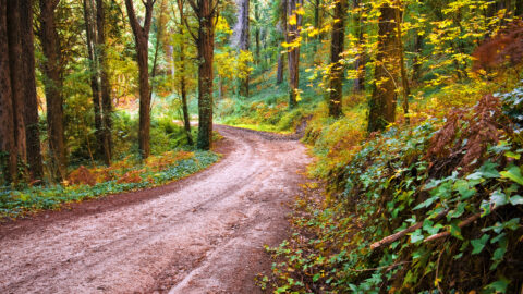 Mile Marker 02: Your Retirement Destination | Zynergy Retirement Planning